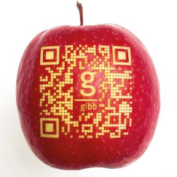 Lasergravur QR-Code auf Apfel